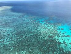 澳洲168澳大利亚大堡礁频遭大规模“白化事件”