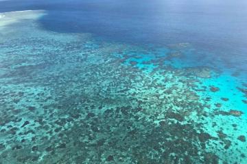 澳洲168澳大利亚大堡礁频遭大规模“白化事件”