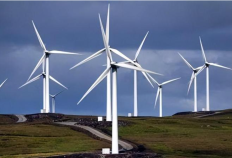 讲解澳洲168：昆士兰州将会开发一个8亿的风力发电机