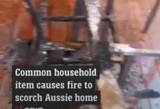 讲解澳洲168：血泪教训！在澳洲，院里放花瓶有什么后果！房子被烧了！